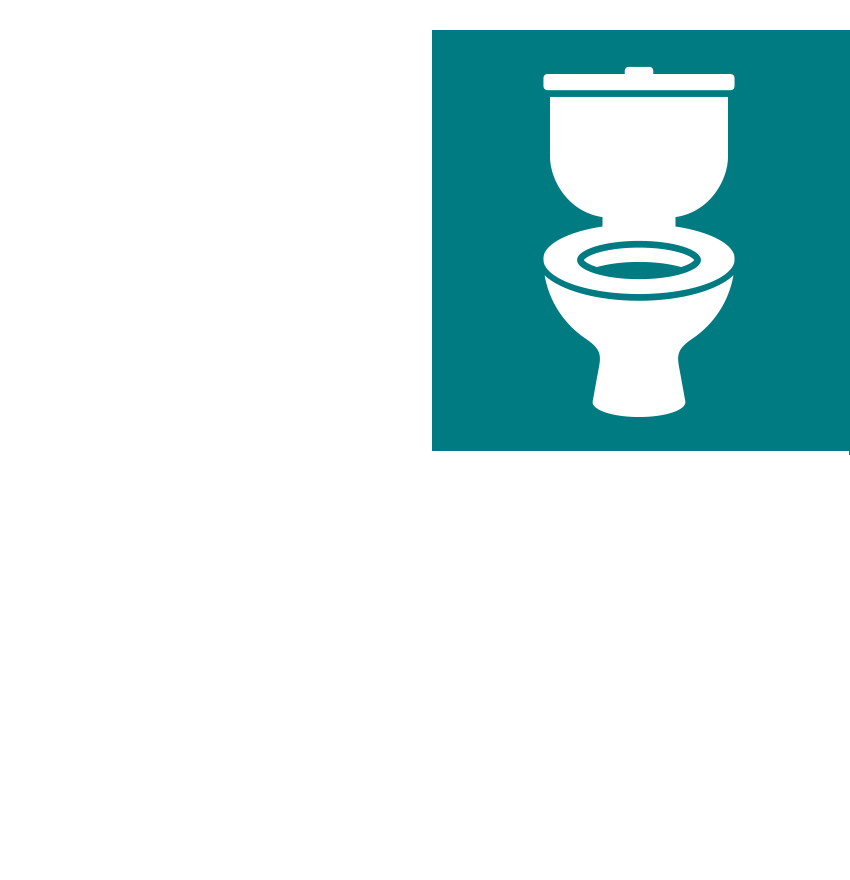 gender accessibility icon