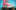 masthead cinderella masthead cinderella